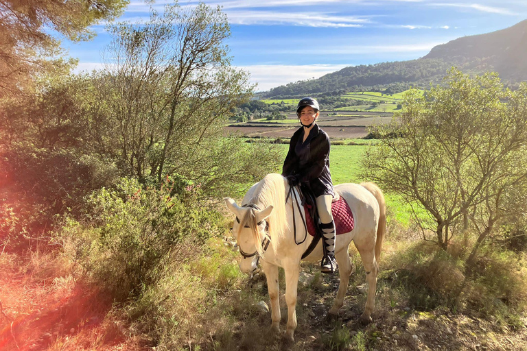 Mallorca: Antiguos Paseos a Caballo en Mallorca