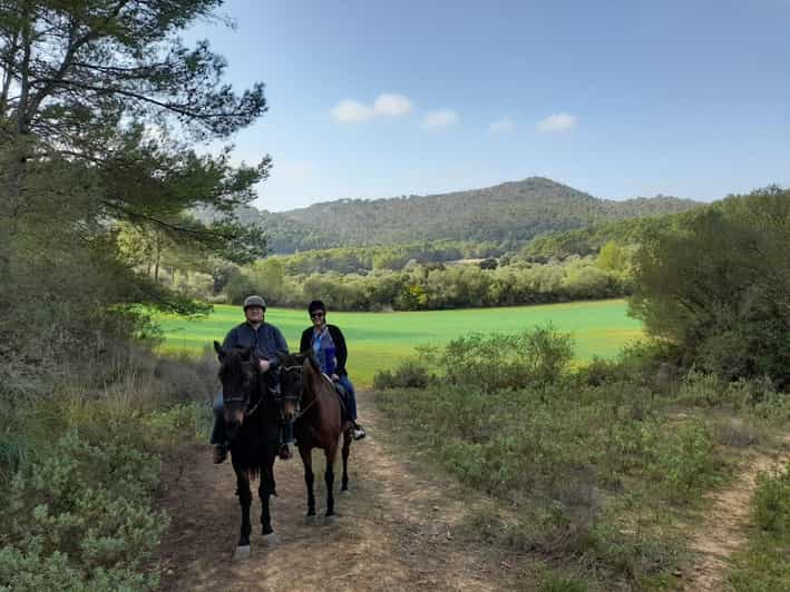 Mallorca Aktivitet med heste, Antikke Mallorca GetYourGuide