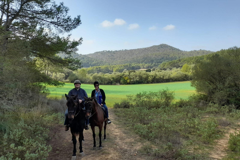 Mallorca: Antiguos Paseos a Caballo en Mallorca