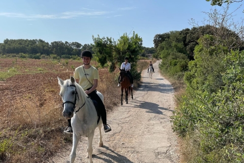 Mallorca: Reiten im Randa's Valley Erlebnis