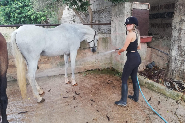 Majorque : Expérience d'équitation dans la vallée de Randa