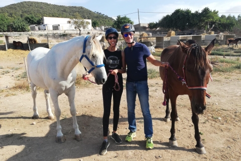 Mallorca: Randa's Valley-paardrijervaring