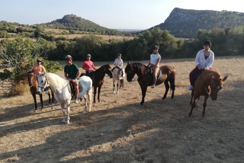 Mallorca: Experiencia ecuestre en el Valle de Randa