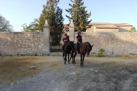 Mallorca: Guided Horseriding Tour of Randa Valley