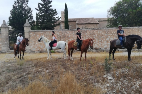 Majorque : Expérience d'équitation dans la vallée de Randa