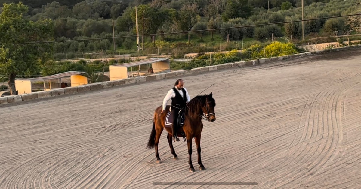 Mallorca Mallorca`s Sunset & Spanish Riding School Show GetYourGuide