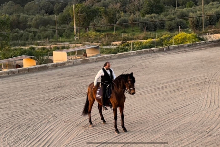 Mallorca: Sunset Horseback Ride & Spanish Riding School Show Mallorca: Sunset Horse Ride and Equestran Show