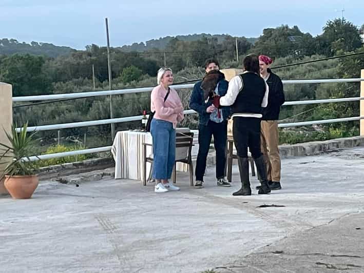 Mallorca Sunset Riding Ride & Spanish Ride School Show GetYourGuide