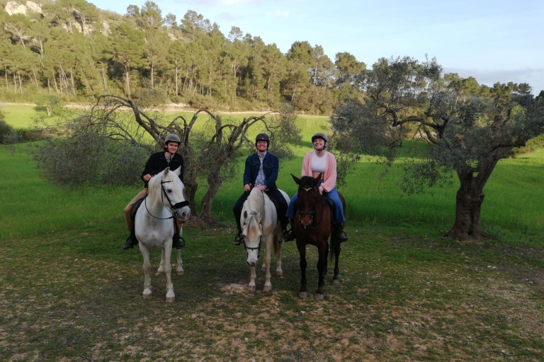 Mallorca: paardrijden en ruitershow bij zonsondergangMallorca: Paardrijden bij zonsondergang en ruitershow
