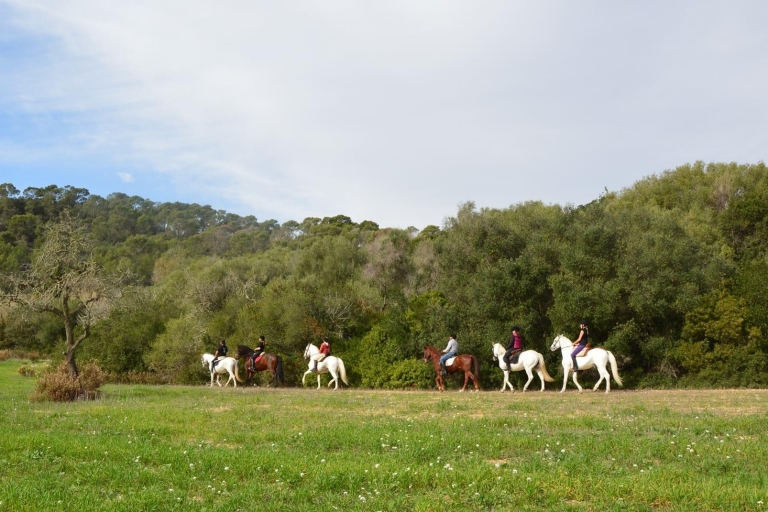 Majorka: przejażdżka konna Randa Valley z piknikiem