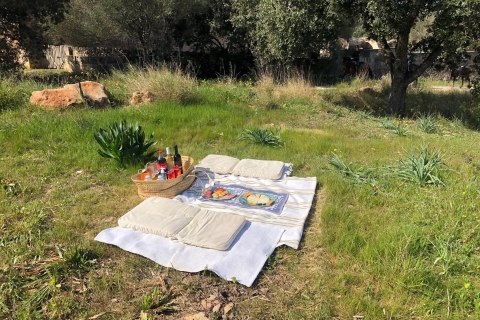 Mallorca: Randa Valley paardrijden met picknick