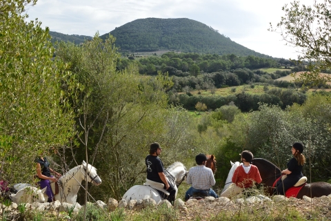Mallorca: Paseo a Caballo por el Valle de Randa con Picnic