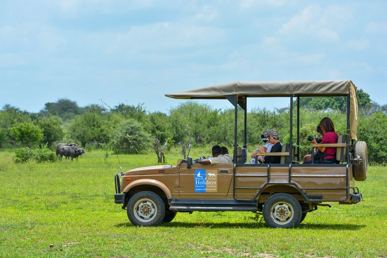 Vanuit Zanzibar: Selous G.R. safari met overnachting en vluchtengedeelde safari