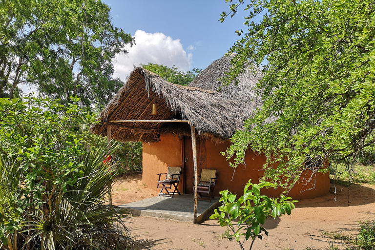 Vanuit Zanzibar: Selous G.R. safari met overnachting en vluchtengedeelde safari