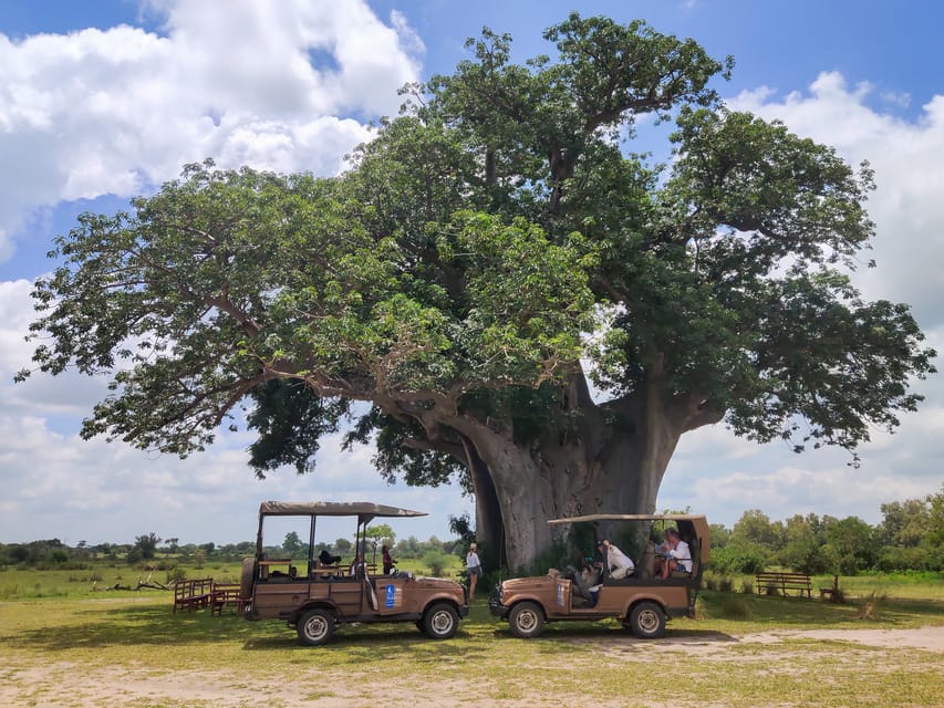 From Zanzibar, 3-Day Safari Selous with Flights - Housity