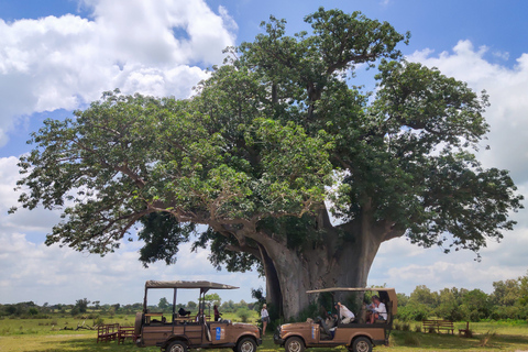 Desde Zanzíbar: Safari de 3 días por el Parque Nacional Nyerere con comidas