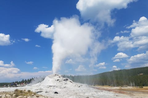 Yellowstone: Upper Geyser Basin Guided and Audio Tour