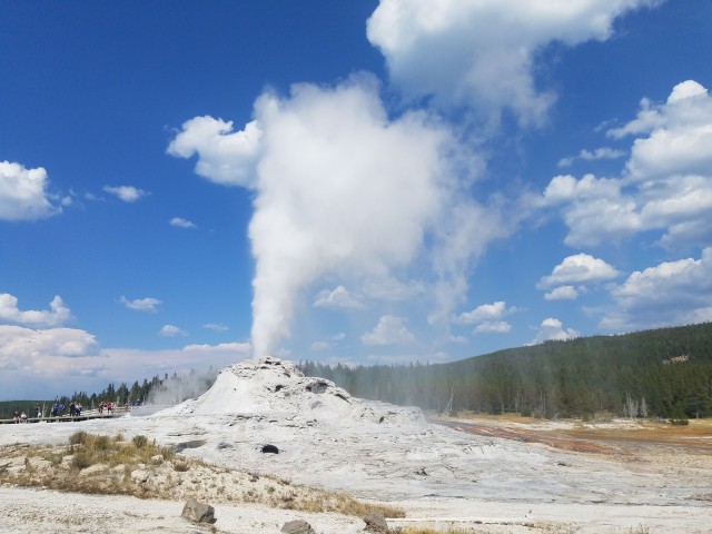 Visit Yellowstone Upper Geyser Basin Guided and Audio Tour in Yellowstone