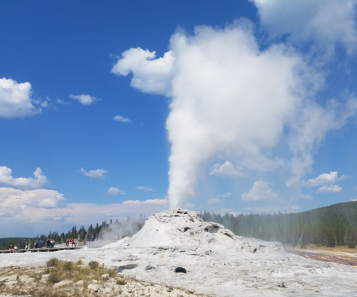 Yellowstone: Upper Geyser Basin Guided and Audio Tour