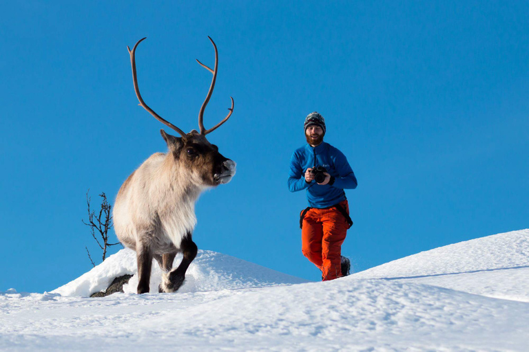 Depuis Tromsø : excursion au cœur de la nature arctiqueVisite en groupe avec 15 personnes au maximum