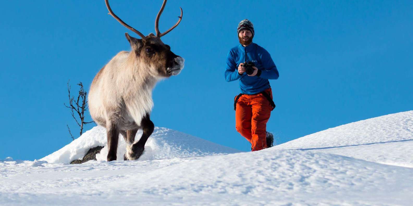 Arctic Nature Tour from Tromsø | GetYourGuide