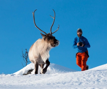 Excursión por la Naturaleza Ártica desde Tromsø