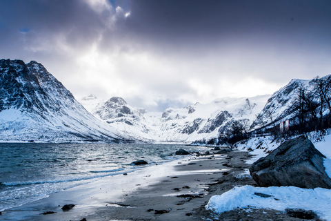 Depuis Tromsø : excursion au cœur de la nature arctiqueVisite en groupe avec 15 personnes au maximum