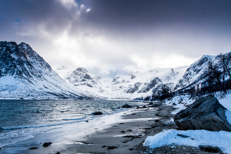 Arctic Nature Tour from Tromsø Group Tour with 15 People Max