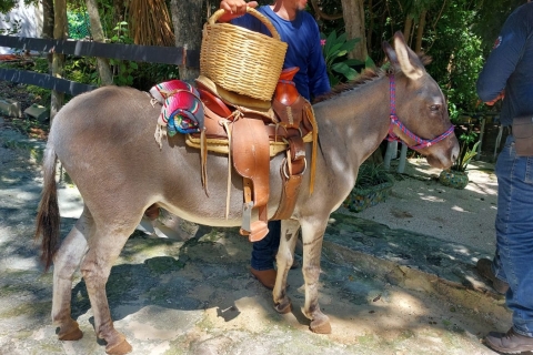 Riviera Maya: paardrijden bij Rancho BonanzaOphalen van Cancun