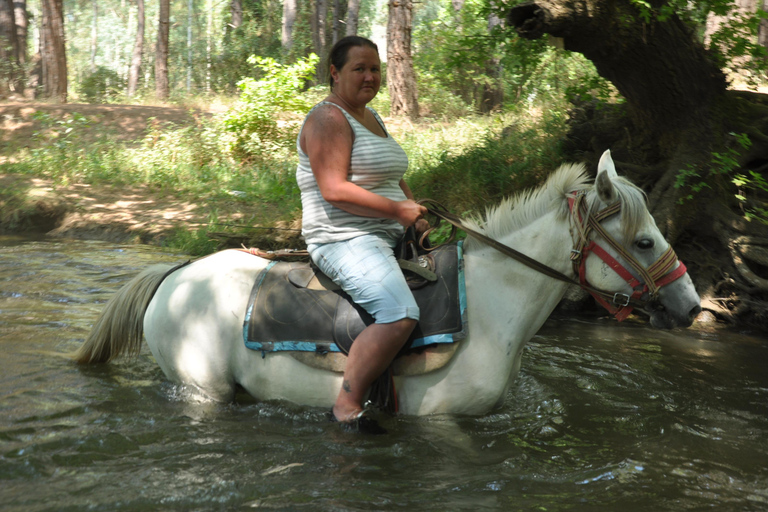 Kemer Horse Safari, pick up from Kiris, Beldibi, Goynuk