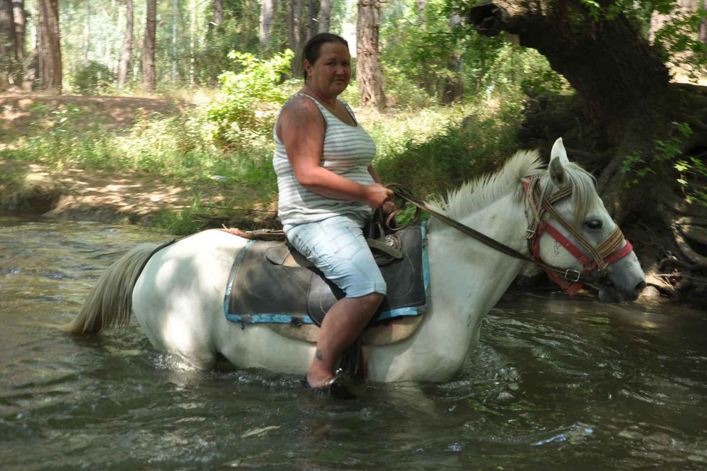 Safari a caballo en Kemer, recogida desde Kiris, Beldibi, Goynuk