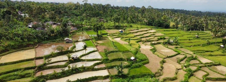 Tetebatu : visite des rizières, des cascades et de la forêt des singes