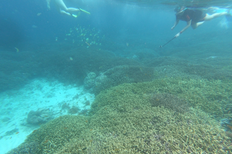 Desde Gilis/ Lombok: Excursión de snorkel a las 3 islas GiliExcursión privada, inicio Gili Air (con recogida)