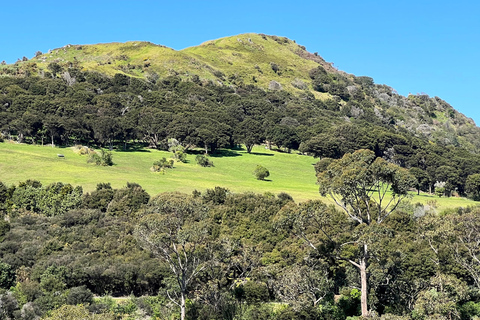 Wyspa Waiheke: Wycieczka kulturalna z przewodnikiem