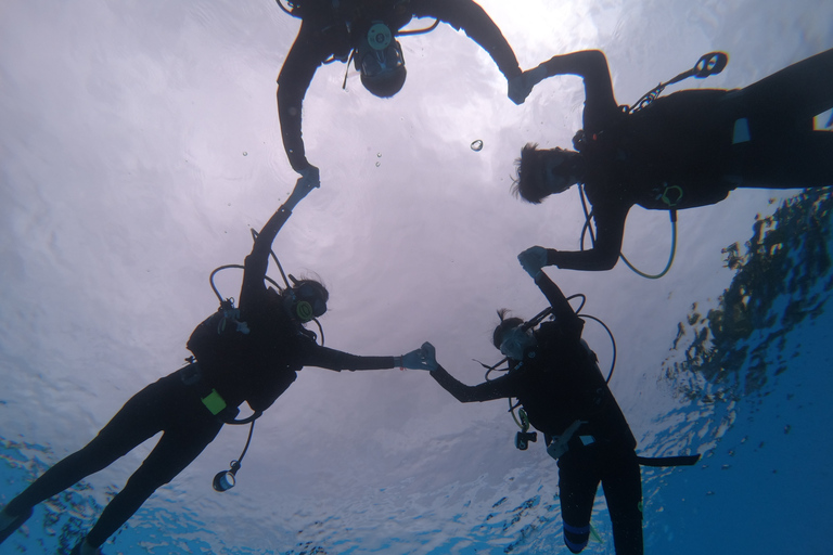 Buceo por primera vez y buceo certificado