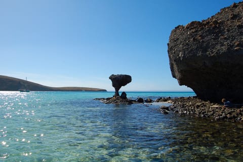 La Paz: Balandra Beach Guided Tour in a Transparent Boat