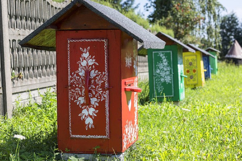 Cracovia: Excursión de un Día al Pueblo Pintado de Zalipie con Entradas al Museo