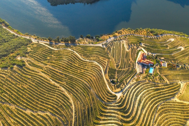 Ab Porto: Douro-Tal mit Weinprobe, Bootsfahrt und LunchGruppentour auf Französisch mit Abholung