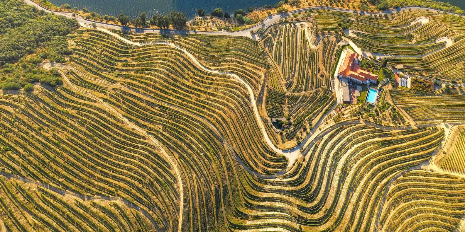 Porto: Douro Valley Tour with Wine Tasting, Cruise and Lunch