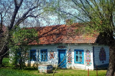 Da Cracovia: tour guidato di Zalipie e del villaggio dipinto