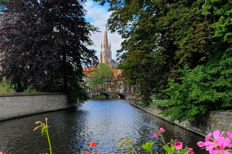 Die beste Schokolade in Brügge!Probiere die beste Schokolade in Brügge!