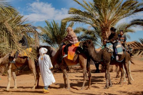 Da Marrakech: tour nel deserto di 4 giorni e 3 notti