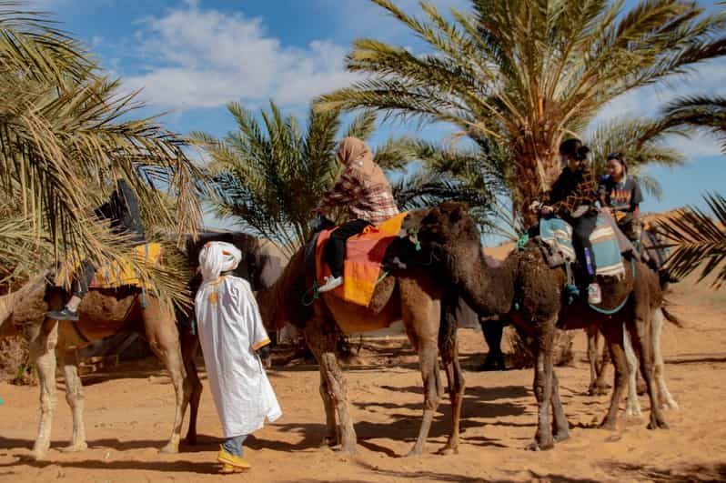 3t travel s.a.r.l morocco