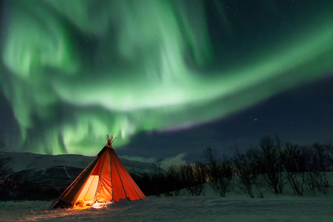 Abisko: Wycieczka fotograficzna zorzy polarnej w Parku Narodowym