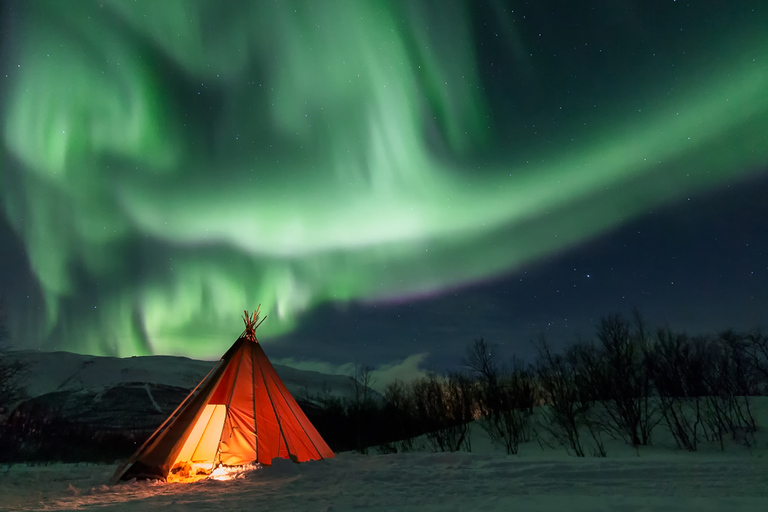 Abisko: Nationalparken: Fototur med norrsken