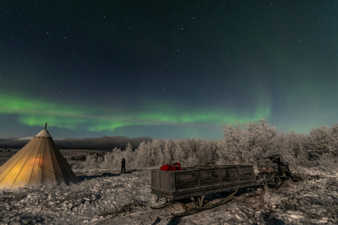 Abisko: Nationalparken: Fototur med norrsken