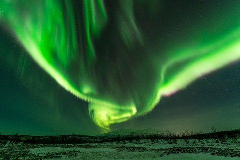 Abisko : Circuit photo sur les aurores boréales dans le parc national