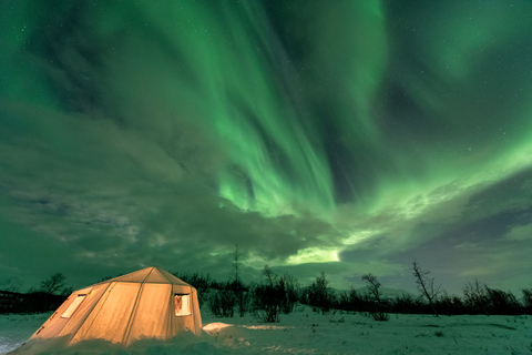 Abisko: Wycieczka fotograficzna zorzy polarnej w Parku Narodowym