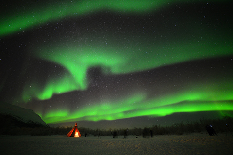 Abisko : Circuit photo sur les aurores boréales dans le parc national