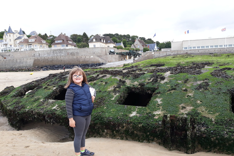 Normandy D-Day Beaches Private British Sector from Bayeux